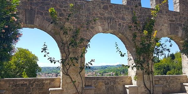 Vineyards & Castles