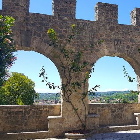 Vineyards & Castles