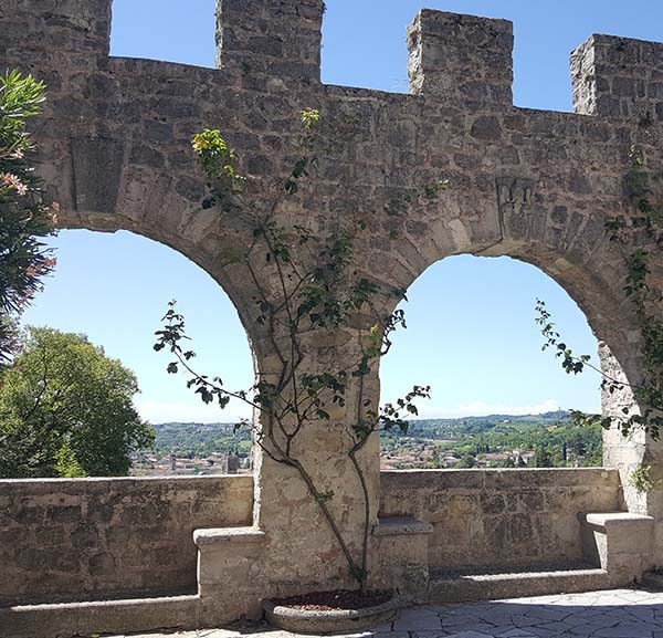 Vineyards & Castles