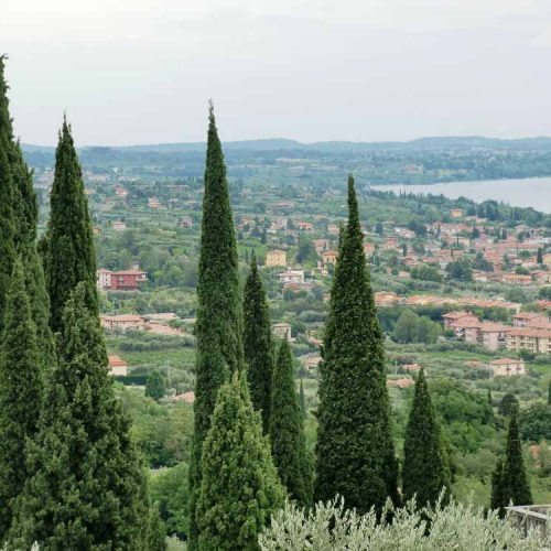 Lake Garda Winery Tour