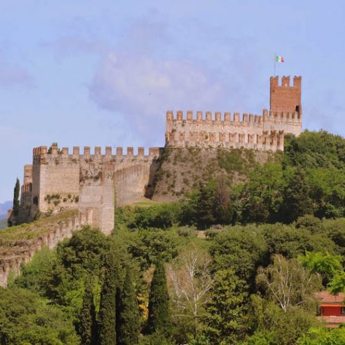 Vineyards & Olive Oil